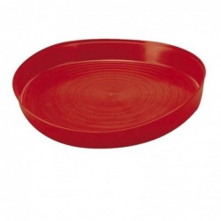 Plato Aves Primera Edad