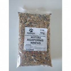 Mixtura agapornis y ninfas