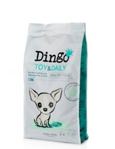 Dingo Toy & Daily
