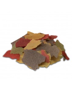 Tropical peces copo 2