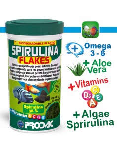 Tropical peces con...