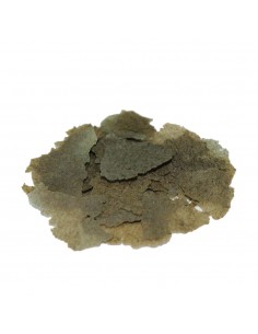 Tropical peces con... 2