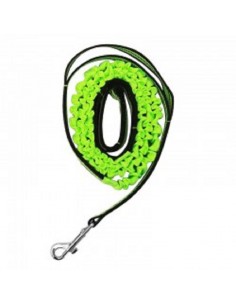 Correa Anti-tirón 150 cm Perro 2