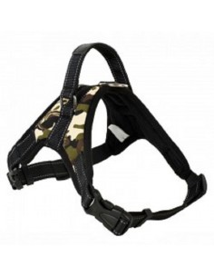 Arnes Razas Esparta Fort S