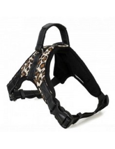 copy of Arnes Razas Esparta... 2