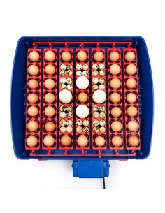 INCUBADORA REAL 49 PLUS +... 2