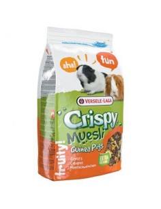 Crispy Muesli-Guinea Pigs...