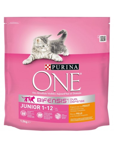 Purina-ONE-Junior-1-12-meses-Rico-Pollo