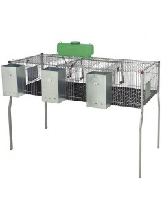 Jaula Conejos Penta 3 2