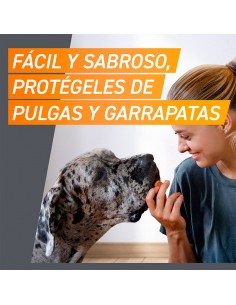 Frontpro Comprimidos... 2