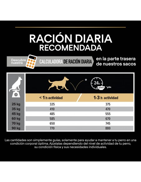 Pro-plan-perro-adulto-robust-EverydayNutrition-alimentación-pollo-pienso