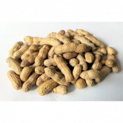 Cacahuete crudo con cascara