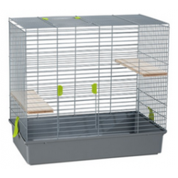 Jaula Chinchilla
